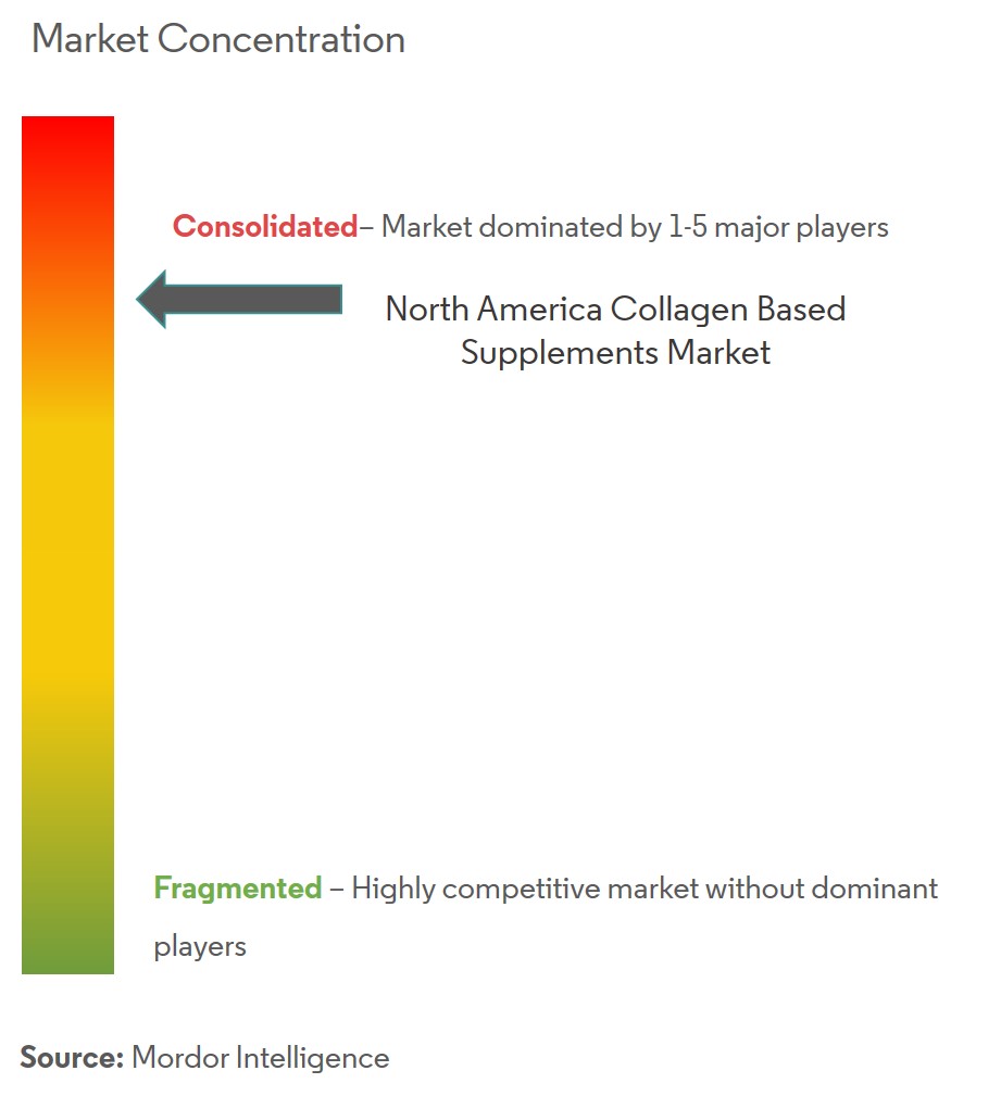 北米のコラーゲンベースのサプリメント市場集中度